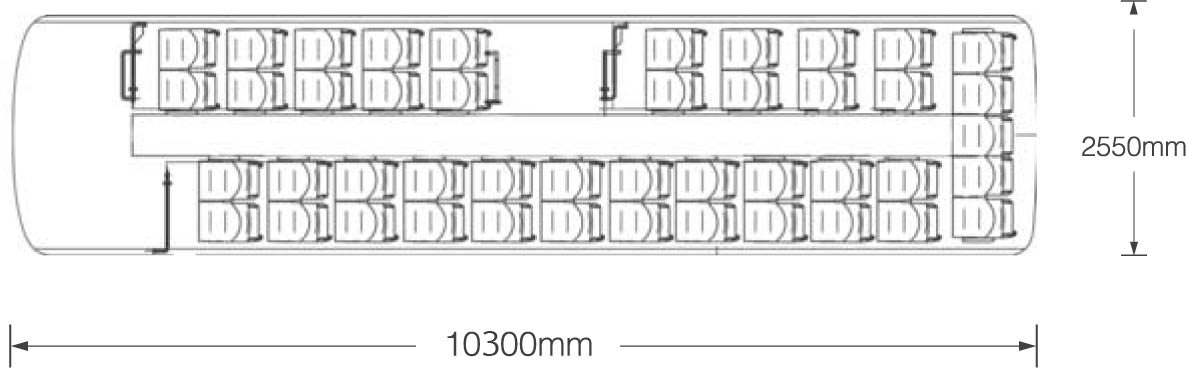 10 mt Inter city bus